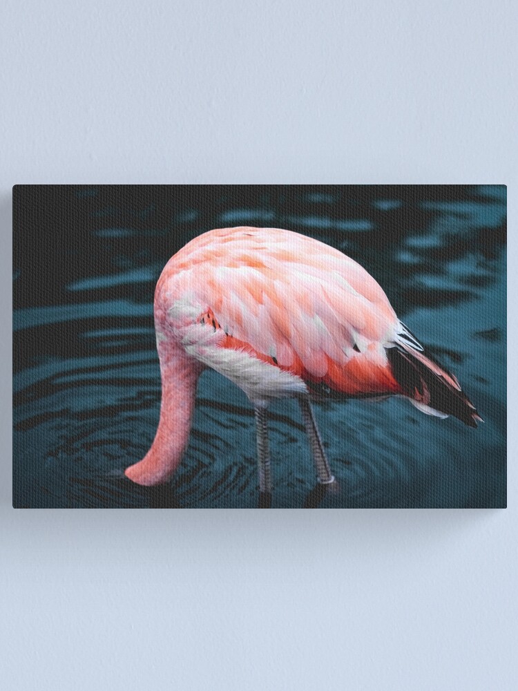 Alternate view of Head In The Water Canvas Print