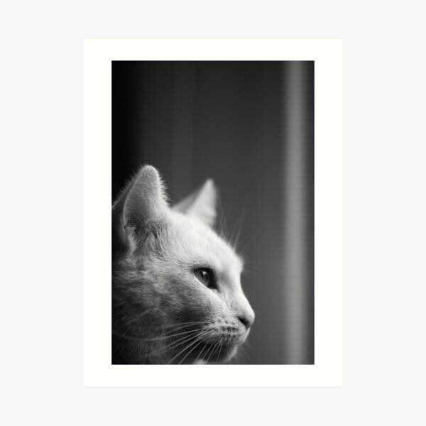 Cat Art Print