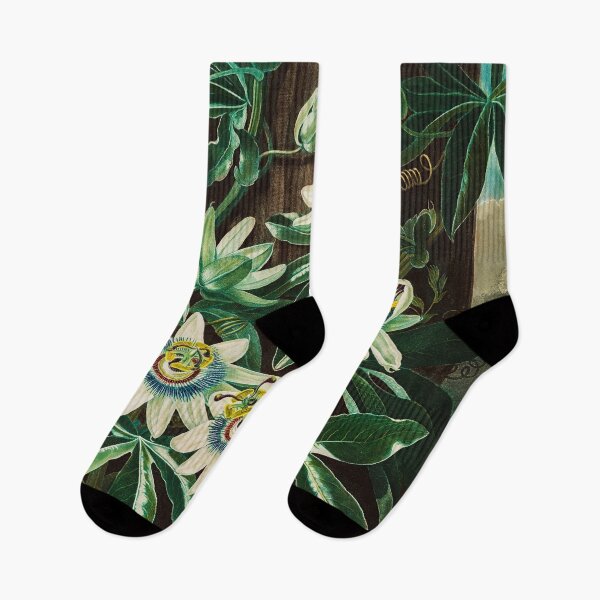Item preview, Painting Art, Robert John Thornton Artist Paintings, The Passiflora Cerulea From The Temple of Flora designed and sold by SasyJamArt.