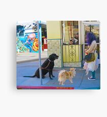 Dogs and their Mom Canvas Print