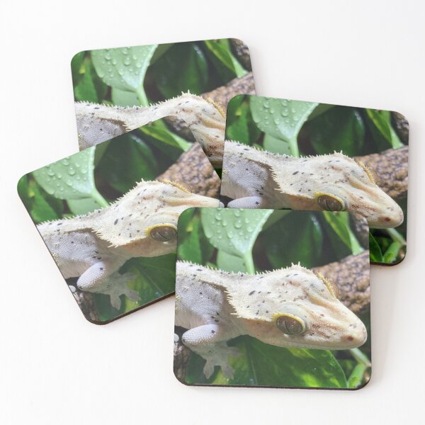 Item preview, Dalmation Crested gecko in plants photograph designed and sold by bubbaclez.