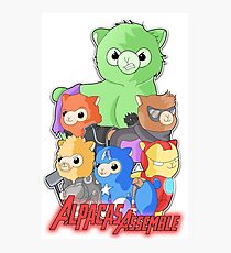 Alpacas Assemble Photographic Print
