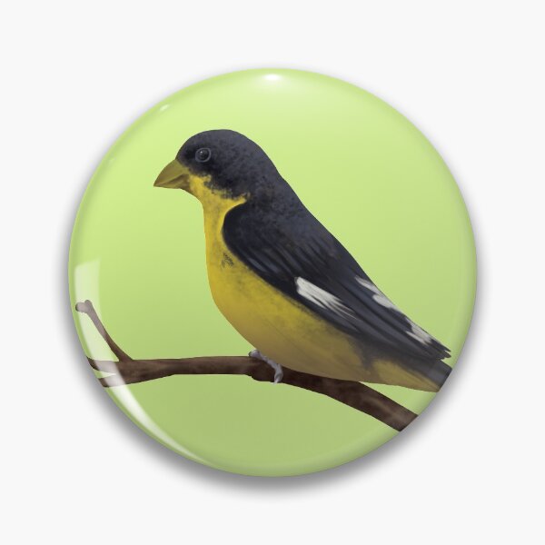 Item preview, Lesser Goldfinch (Spinus psaltria) Digital Painting designed and sold by Inuyasha907.