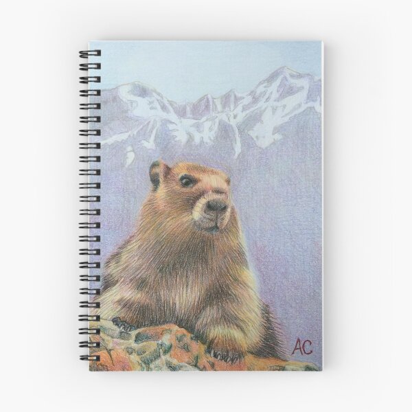 Aperçu de l'œuvre Marmotte olympique créée et vendue par WyoClements.