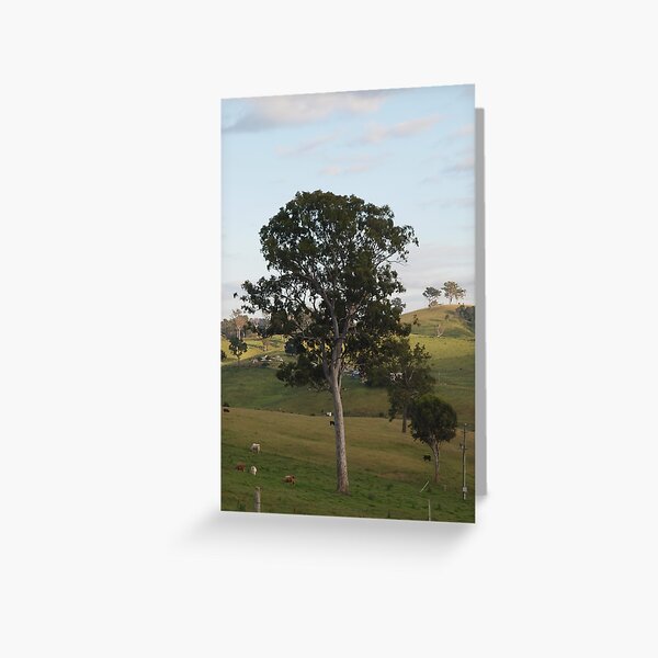 Item preview, Bega  designed and sold by Tom McDonnell.