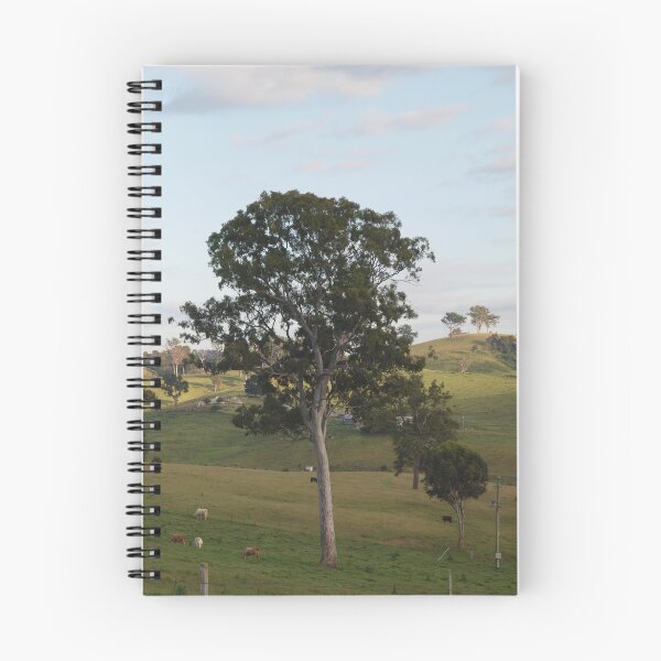 Item preview, Bega  designed and sold by Tom McDonnell.
