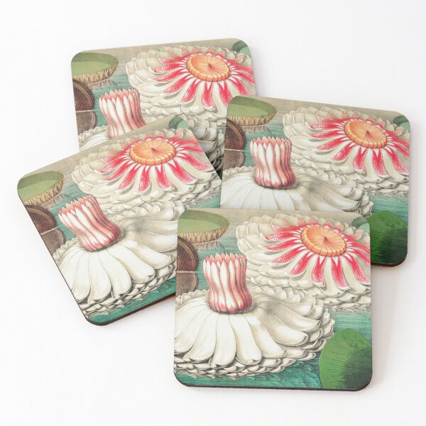Item preview, Painting Art, Victoria Regia Artist Paintings, Victoria Amazonica, Vintage Gigantic Water Lily designed and sold by SasyJamArt.