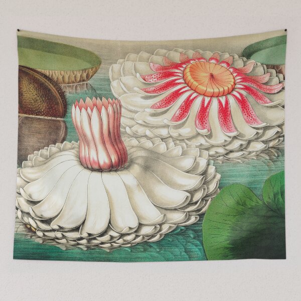 Item preview, Painting Art, Victoria Regia Artist Paintings, Victoria Amazonica, Vintage Gigantic Water Lily designed and sold by SasyJamArt.