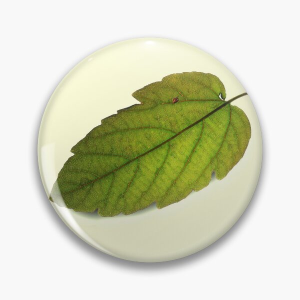 Item preview, Fallen Leaf designed and sold by Siene Browne.