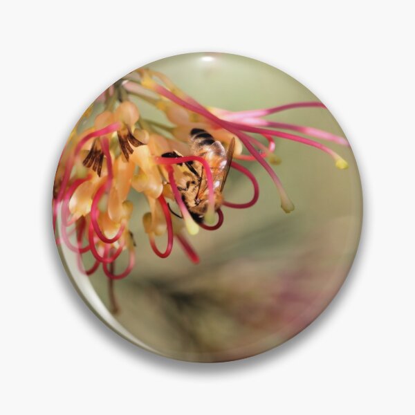 Item preview, Honey Bee on Grevillea flower, South Australia designed and sold by NanaRusty.