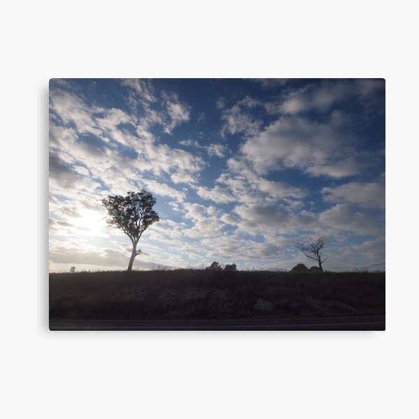 Item preview, Morning Bega designed and sold by Tom McDonnell.