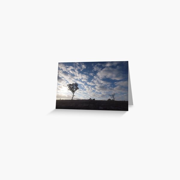 Item preview, Morning Bega designed and sold by Tom McDonnell.