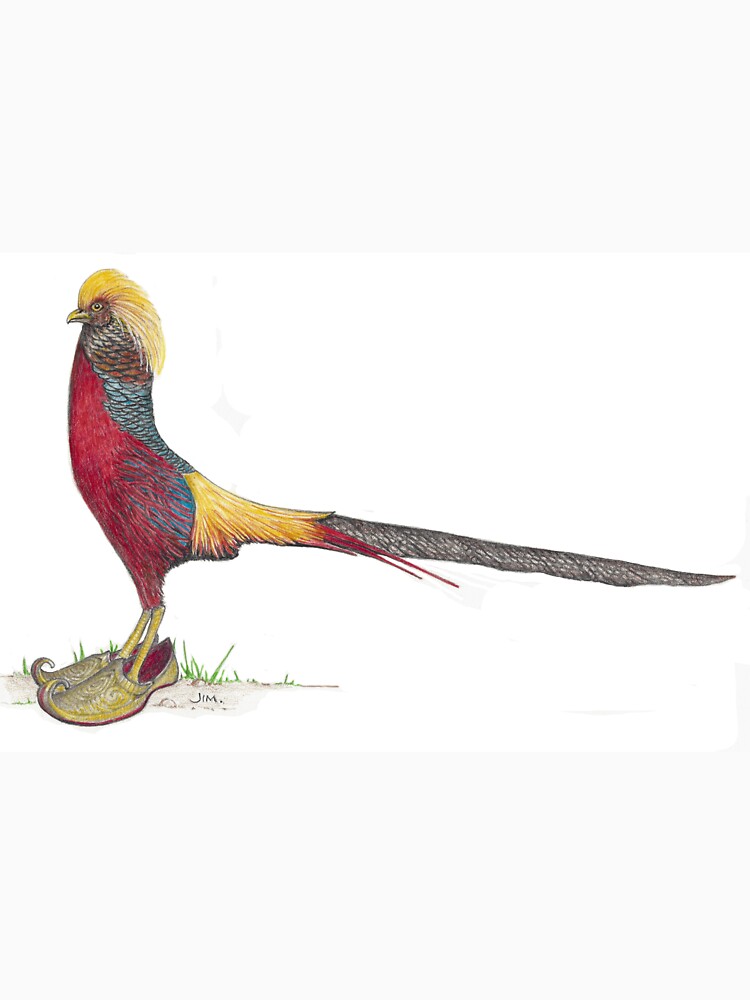 Golden Pheasant in Arabian slippers by JimsBirds