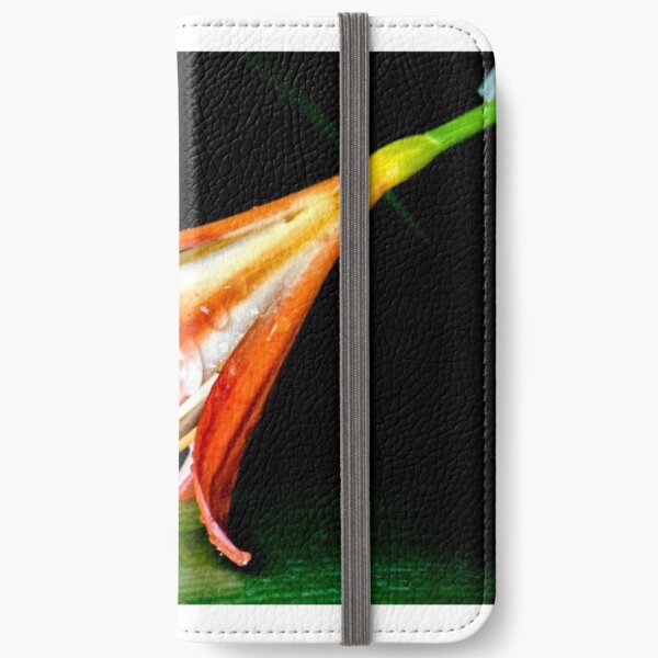 Macro #2 iPhone Wallet