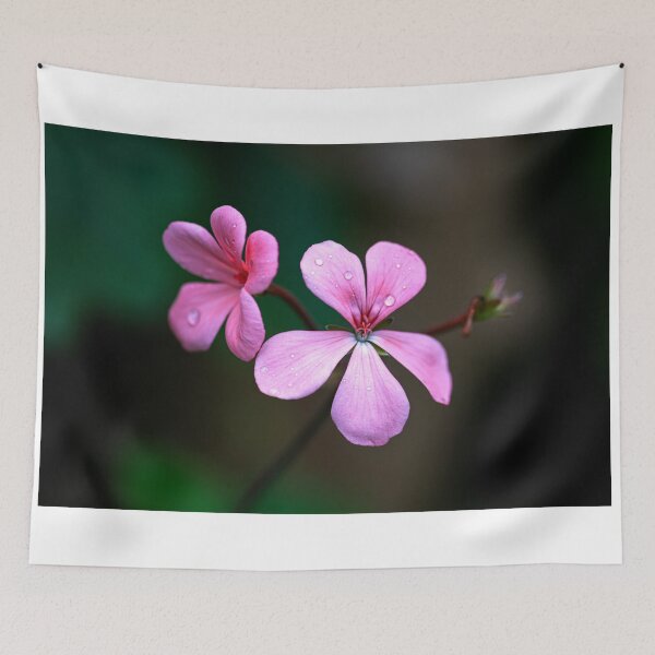 Item preview, Macro #3 designed and sold by Peter Hocking.
