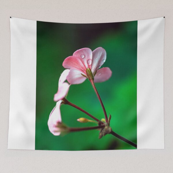 Item preview, Macro #4 designed and sold by Peter Hocking.