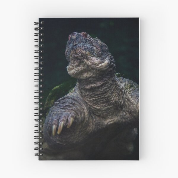Item preview, Snappy Snapper designed and sold by c-zphotos.