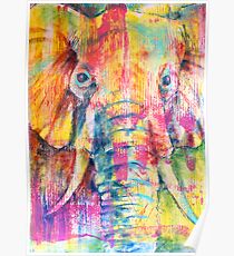 Elephant Poster