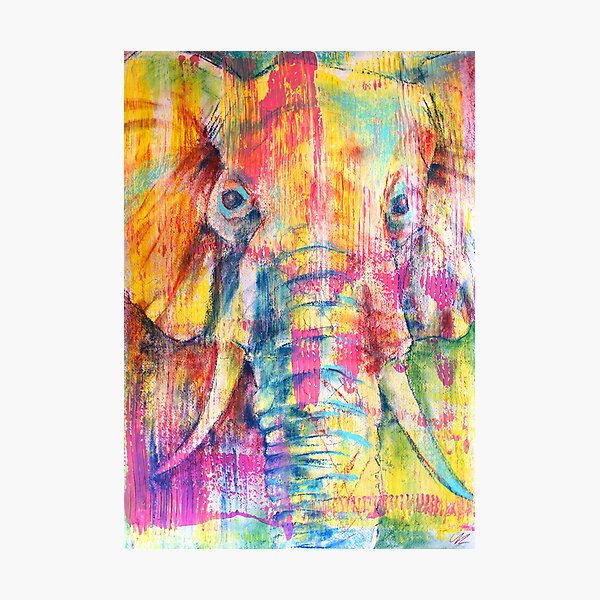 Elephant Photographic Print