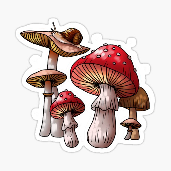 Cottagecore stickers Mushroom sticker Cool stickers STICKER SET ...