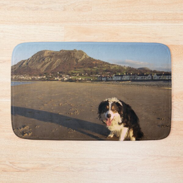 Item preview, Laddie says "Welcome to Llanfairfechan" designed and sold by Michael Haslam.