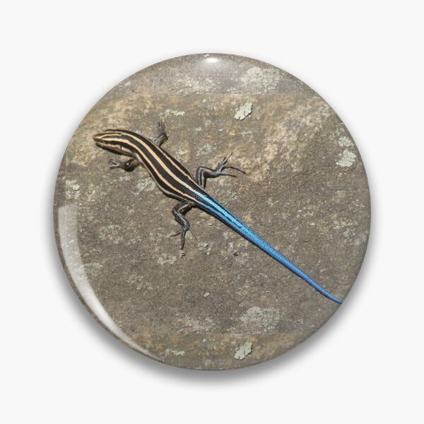 Item preview, Blue Tailed Lizard I designed and sold by Jean Gregory Evans.