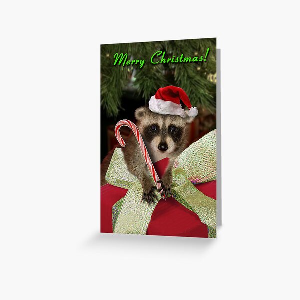 Raccoon Santa Sleigh nnc256 Christmas Xmas Card A5 Personalised Greetings 