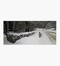 Winter Scene Photographic Print