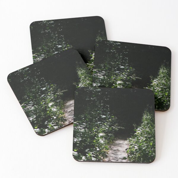Item preview, tree tunnel designed and sold by distracted.