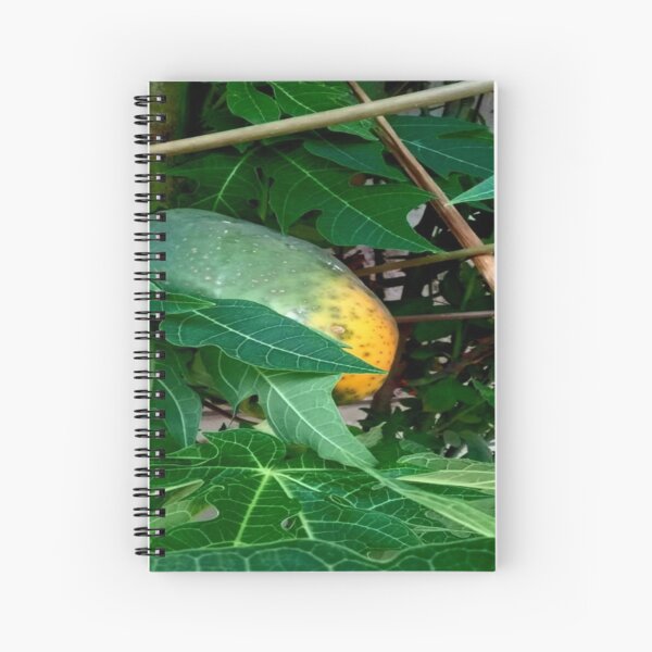 "Papaya" Spiral Notebook for Sale by sketchsabel Redbubble
