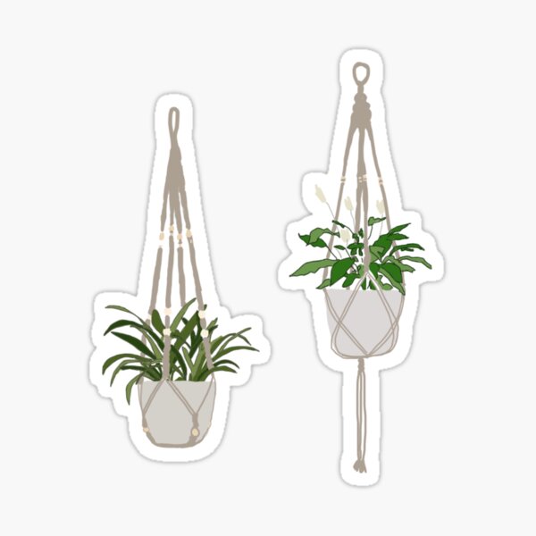 Hanging Plant Stickers Succulent Sticker Graphic by Paper Artsthetics ·  Creative Fabrica