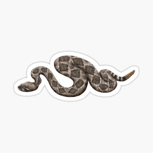 Item preview, Western Diamondback Rattlesnake (Crotalus atrox) Digital Painting designed and sold by Inuyasha907.