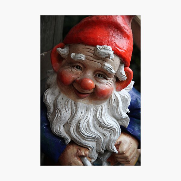 Reggie the Gnome Photographic Print