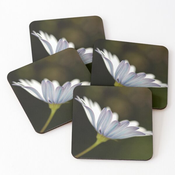 Item preview, Under The Winter Daisy designed and sold by Joy Watson - Natural Light Photography .