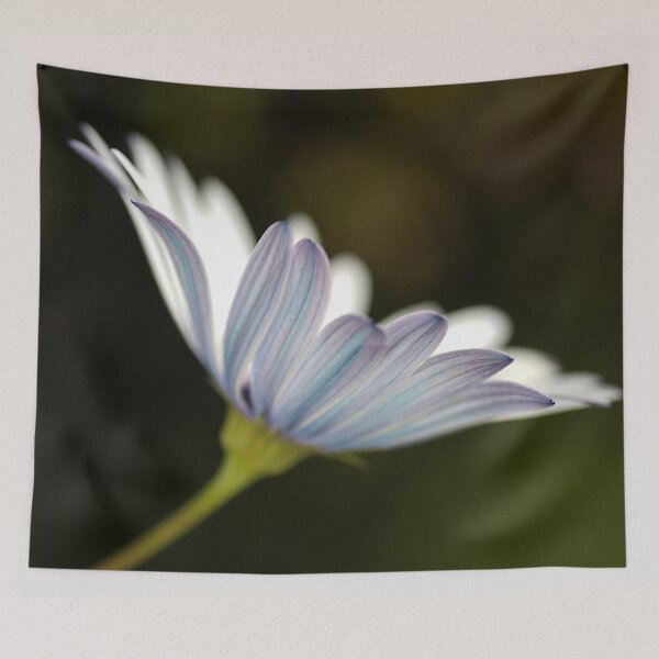 Item preview, Under The Winter Daisy designed and sold by Joy Watson - Natural Light Photography .