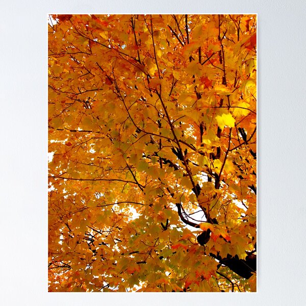 Item preview, Golden vibes designed and sold by MarianBendeth.