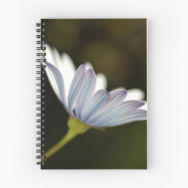 Item preview, Under The Winter Daisy designed and sold by Joy Watson - Natural Light Photography .