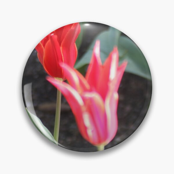 Item preview, Two tulips designed and sold by agnessa38.