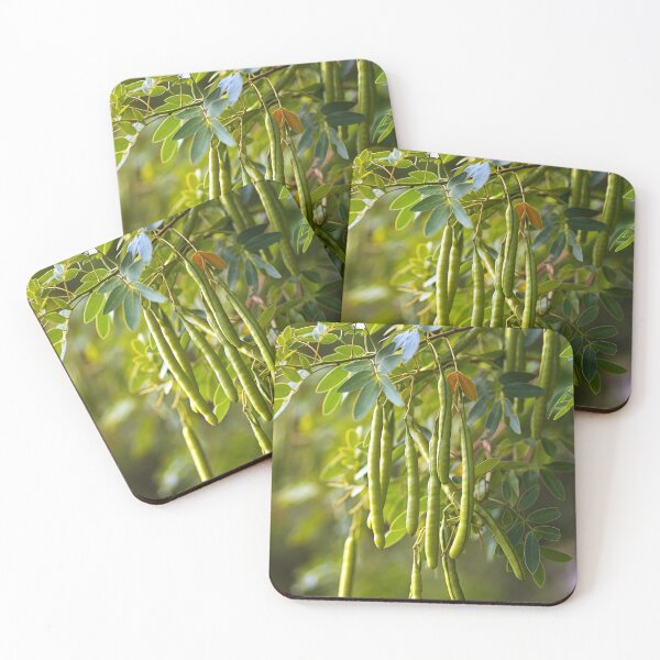 Item preview, Catalpa Tree  designed and sold by Joy Watson - Natural Light Photography .