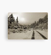 Winter In Sepia Canvas Print