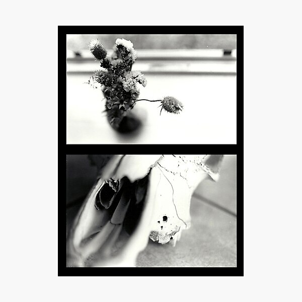 To Linger Photographic Print