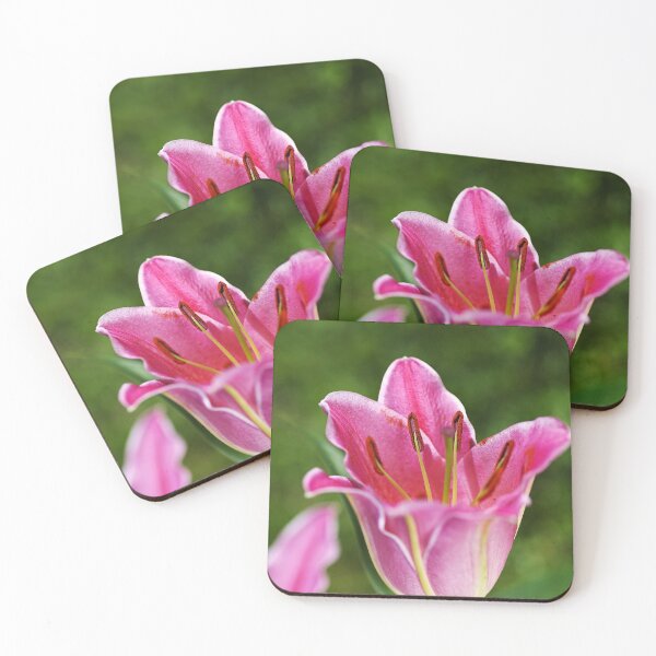Item preview, The Lily Flower Pink designed and sold by Joy Watson - Natural Light Photography .
