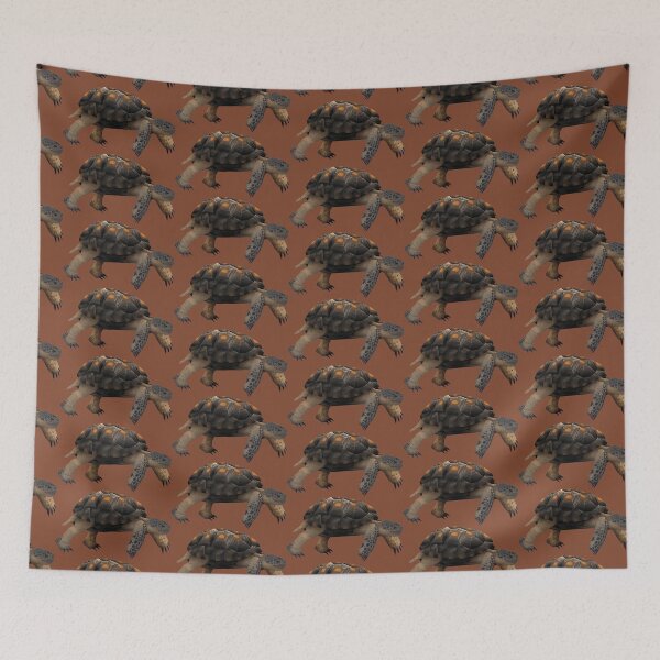 Item preview, Texas Tortoise (Gopherus berlandieri) Digital Painting designed and sold by Inuyasha907.