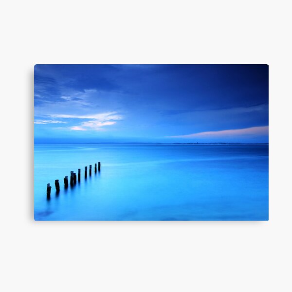 Into the Blue Canvas Print
