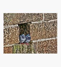 Northumberland Photographic Print