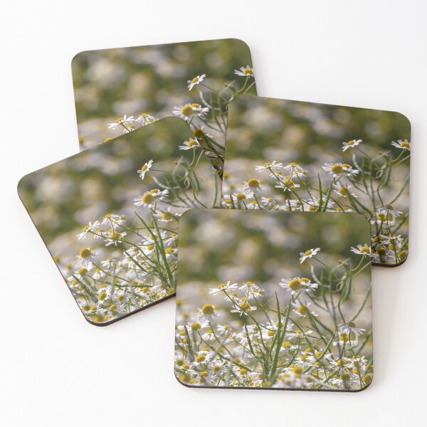 Item preview, Daisy-like Flowers designed and sold by rwhooster.