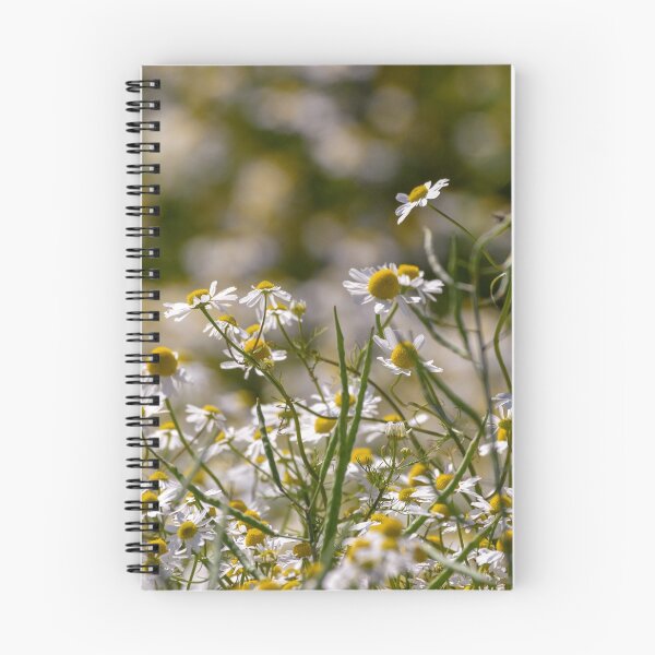 Item preview, Daisy-like Flowers designed and sold by rwhooster.