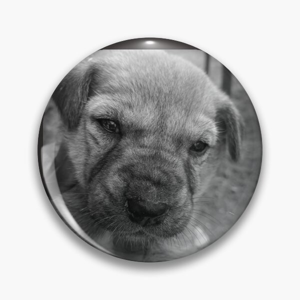 Item preview, Puppylove designed and sold by Ratnesh.