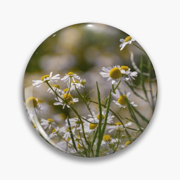 Item preview, Daisy-like Flowers designed and sold by rwhooster.