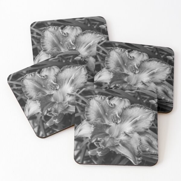 Item preview, Black and White: Todd Fox Lily designed and sold by Cory Clark.